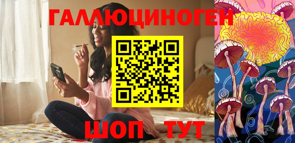 Псилоцибиновые грибы Psilocybine cubensis Магадан