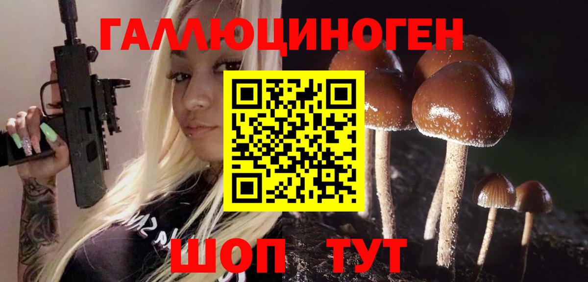 Псилоцибиновые грибы Magic Shrooms  Вход с VPN  Магадан  Псилоцибиновые грибы мухоморы 