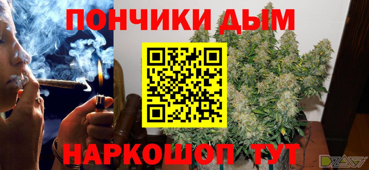 Каннабис индика  Марихуана Amnesia  Бошки Шишки ГИДРОПОН  Магадан  Шишки марихуана тримм  Вход с VPN 